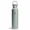 24 oz Standard Mouth Hydro Flask S24CSX374 Water Bottles 24 oz / Agave