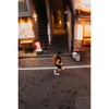 Everyday Rolltop Kilometer Studios KEVR-16OR-01 Backpacks 22L / Orange