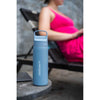 Lifestraw Go 1 Litre | Stainless Steel LifeStraw LSLGV41SBLWW Water Filters 1 L / Icelandic Blue