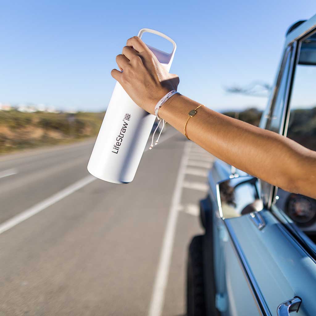 Lifestraw Go 700ml | Stainless Steel LifeStraw LSGV42STPWW Water Filters 700 ml / Thistle Purple
