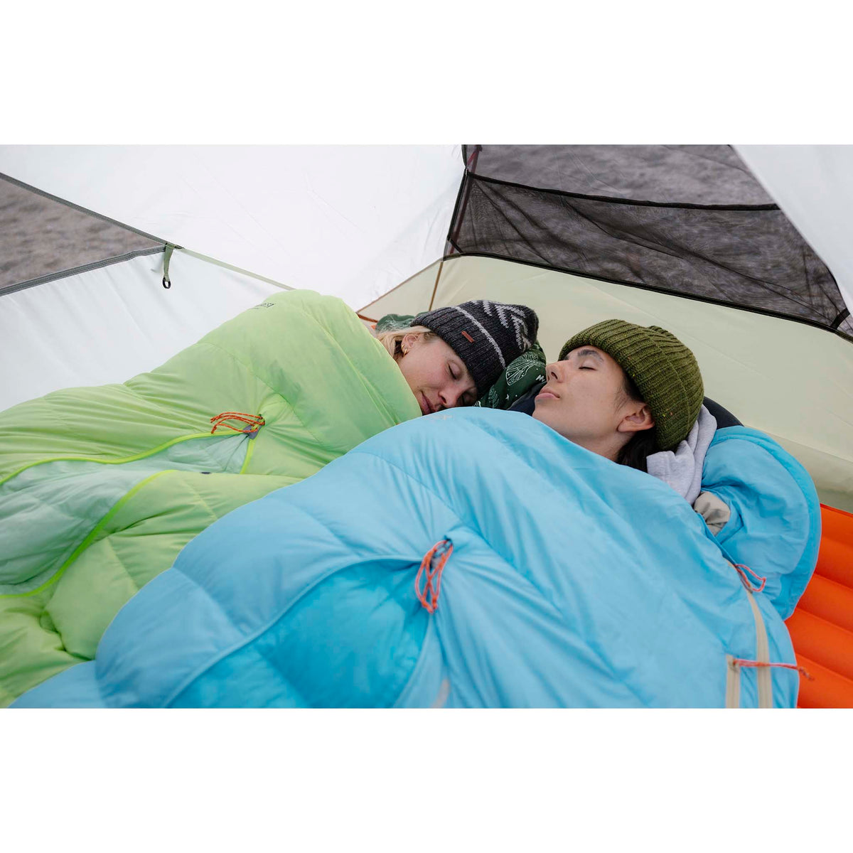 Elixir 4 Tent MSR Tents 4P / Green
