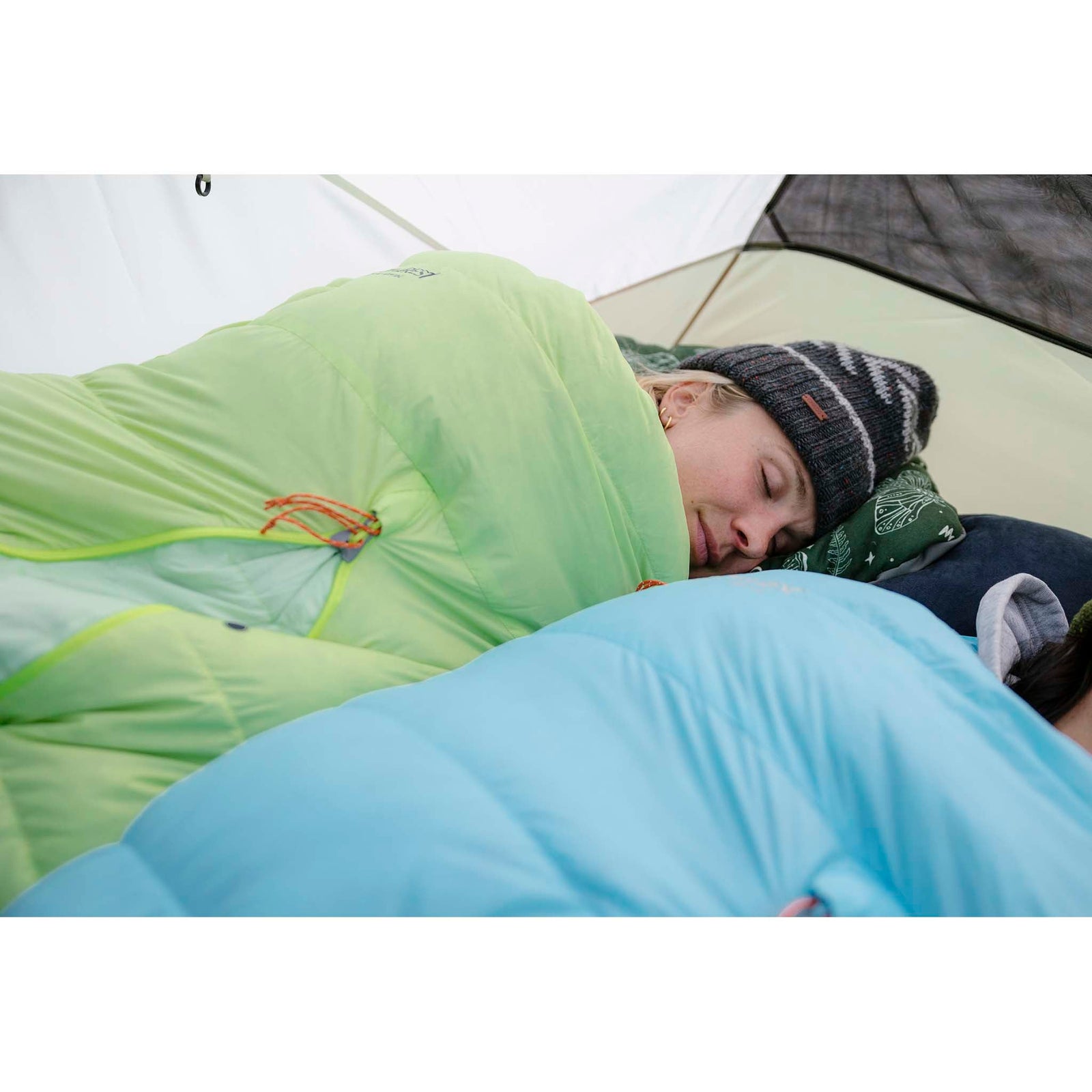 Elixir 4 Tent MSR Tents 4P / Green