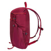 In and Out 18 Mystery Ranch 113242-609-00 Backpacks 18L / Rhubarb