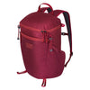 In and Out 18 Mystery Ranch 113242-609-00 Backpacks 18L / Rhubarb
