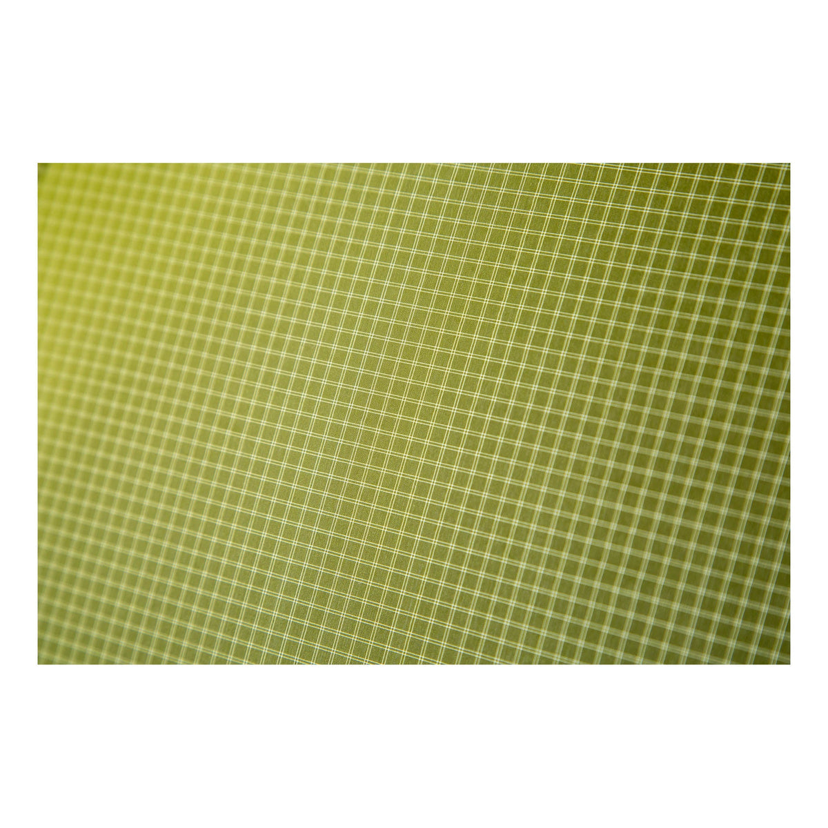 Dragonfly OSMO 1P Tent NEMO Equipment 811666037510 Tents 1P / Birch Bud