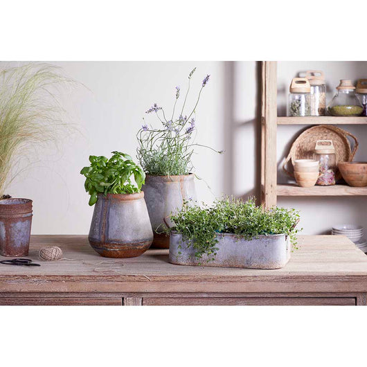 nkuku plant pot nkuku | Mamba Outdoor Planter | Aged Zinc Planter | Aged Zinc