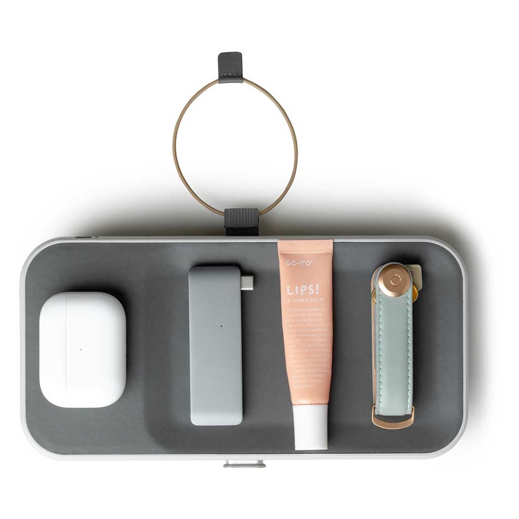 Nest v2 Orbitkey WNS2-ASH-104 Tech Pouches O/S / Ash