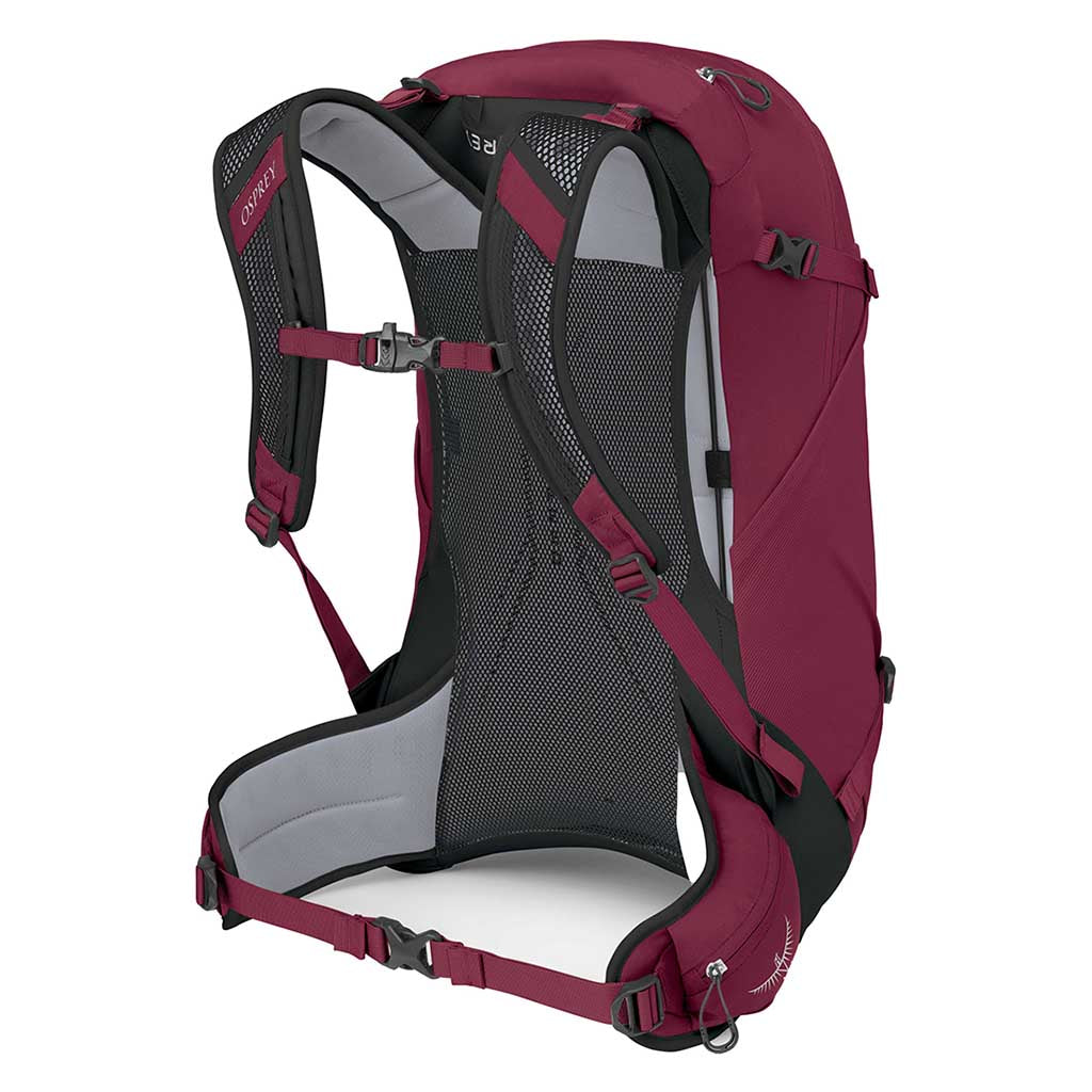 Hikelite 28 Osprey Backpacks