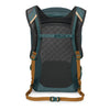 Nebula 32 Osprey 10007203 Backpacks 32L / Torrent Blue Heather