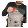 Raptor 14 Osprey 10006650 Backpacks O/S / Pediment Grey