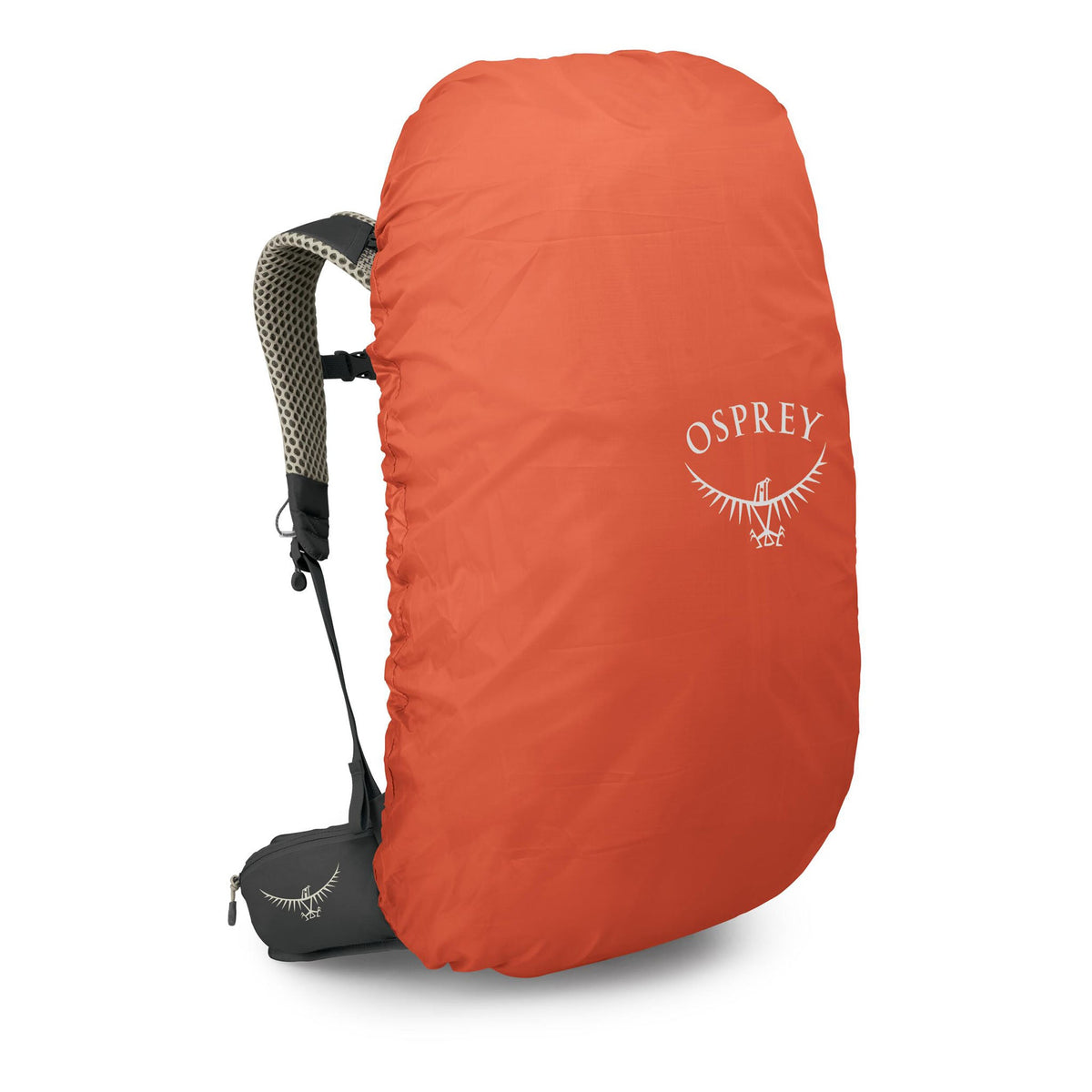 Stratos 36 | Men's Osprey 10007535 Backpacks OS / Raven Black