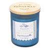 Coastal Glass Candle | Hinoki Driftwood Paddywax CST0804EU Candles 7oz / Sea Blue