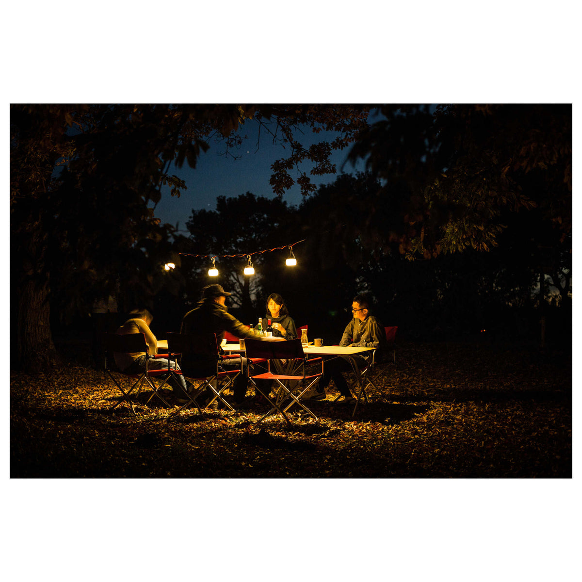 Long Daisy Chain Snow Peak UG-550 Camping Accessories One Size / Black