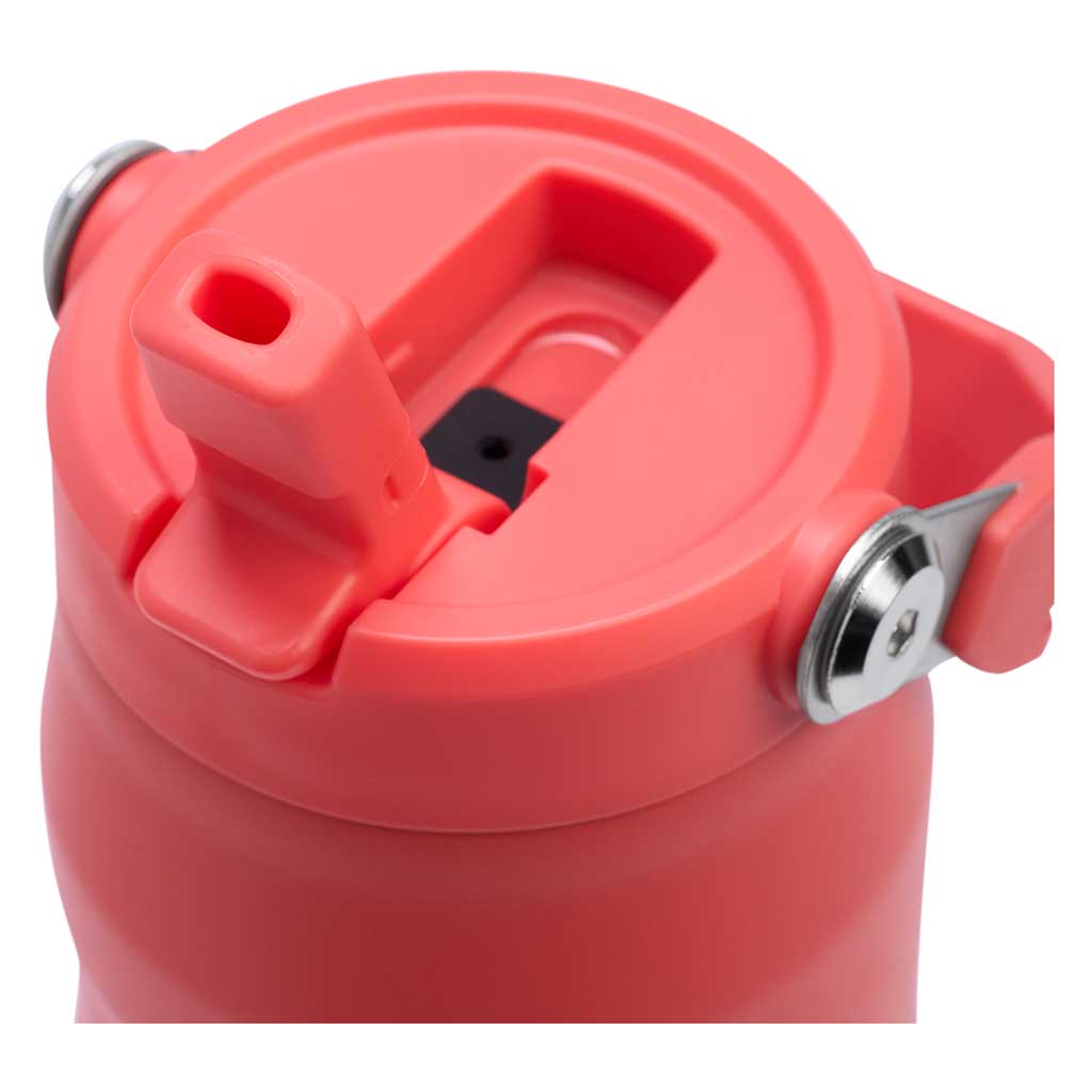 IceFlow Bottle Flip Straw 2.0 Stanley Tumblers