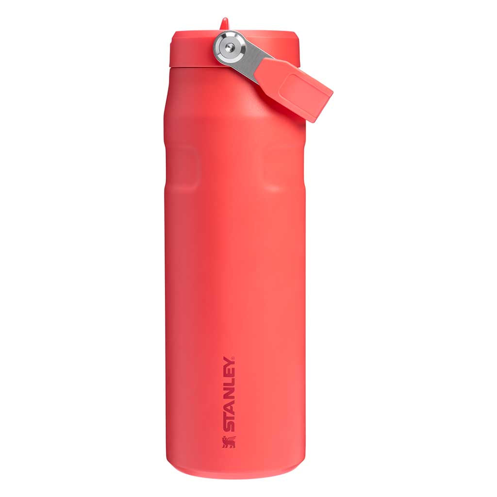 IceFlow Bottle Flip Straw 2.0 Stanley Tumblers