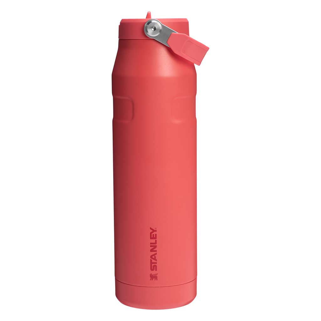 IceFlow Bottle Flip Straw 2.0 Stanley Tumblers