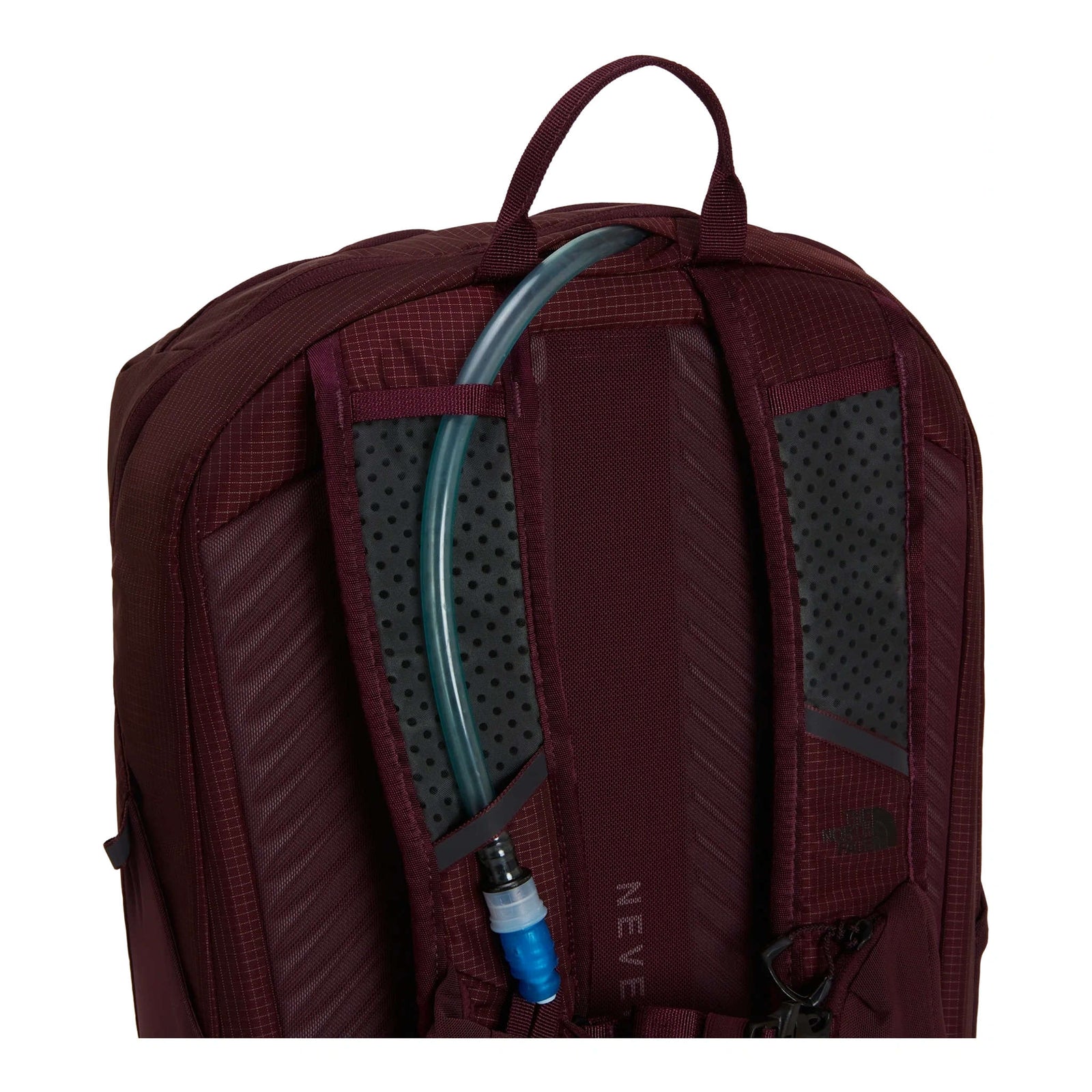 Borealis Trail Backpack The North Face NF0A8E9ZNO4-OS Backpacks 28L / Deep Burgundy