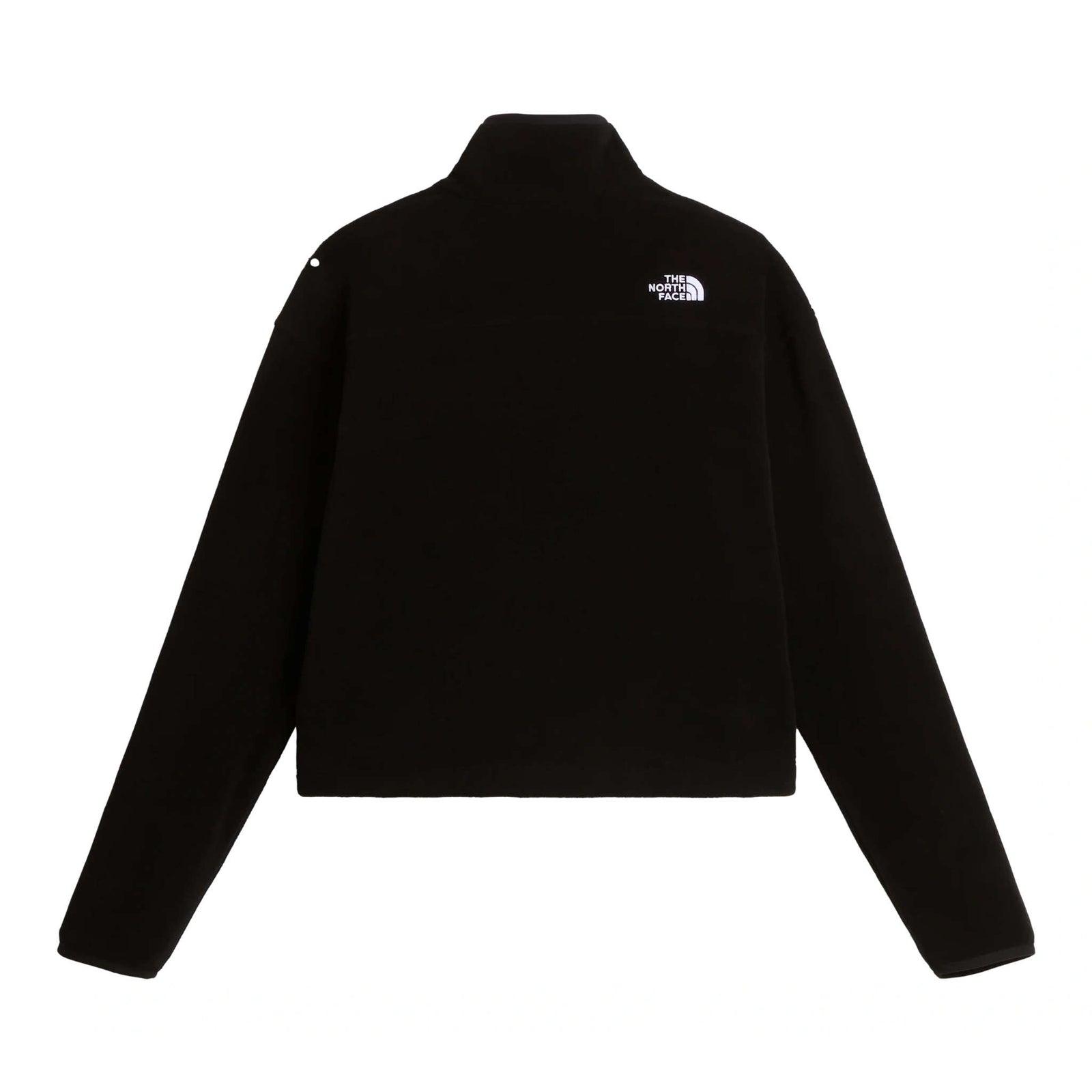Novelty Logo Glacier | 1/4 Zip | Women's The North Face Women's Fleece Jackets