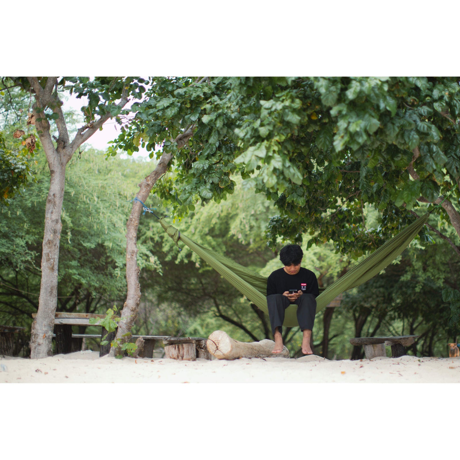 Compact Hammock Ticket To The Moon TMC85 Hammocks 320 x 155 cm / Leaf Green