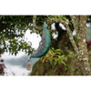 Original Hammock Ticket To The Moon TMO8903 Hammocks 320 x 200 cm / Petrol Green/Dark Grey