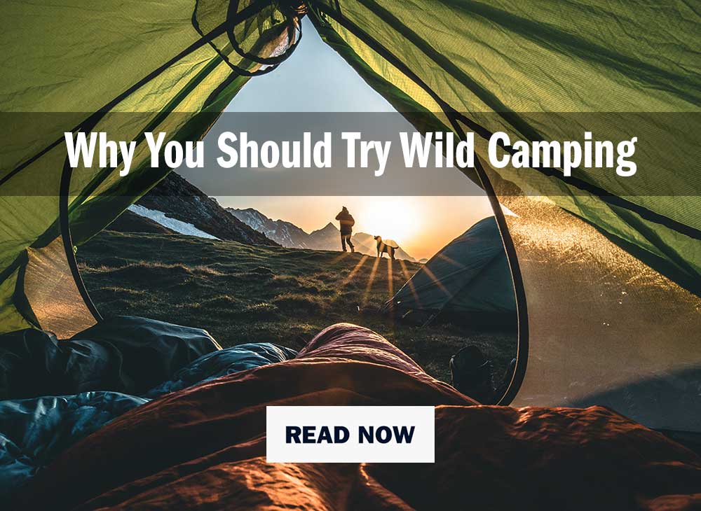 view looking out of a tent door at a dog and man standing before a sunrise