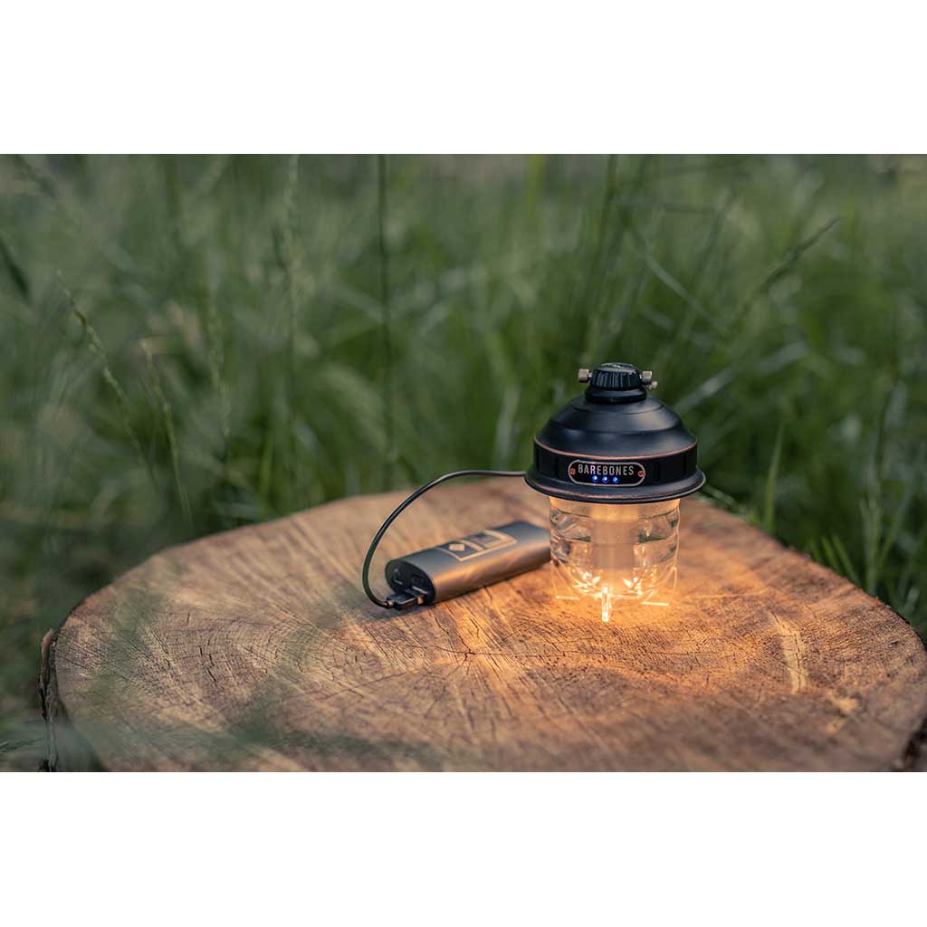 Beacon Hanging Light Barebones Living LIV-295 Lanterns One Size / Antique Bronze