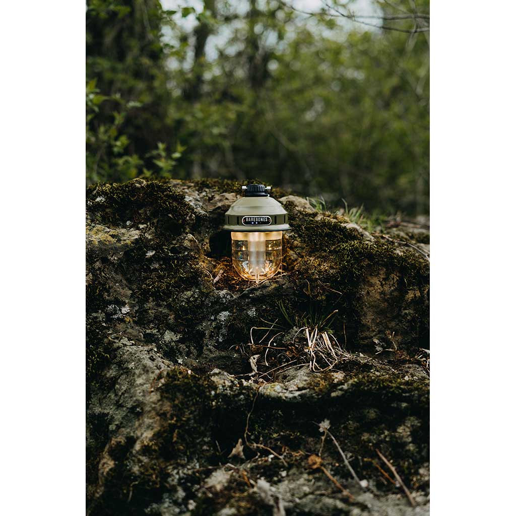 Beacon Hanging Light Barebones Living LIV-233 Lanterns One Size / Olive Drab