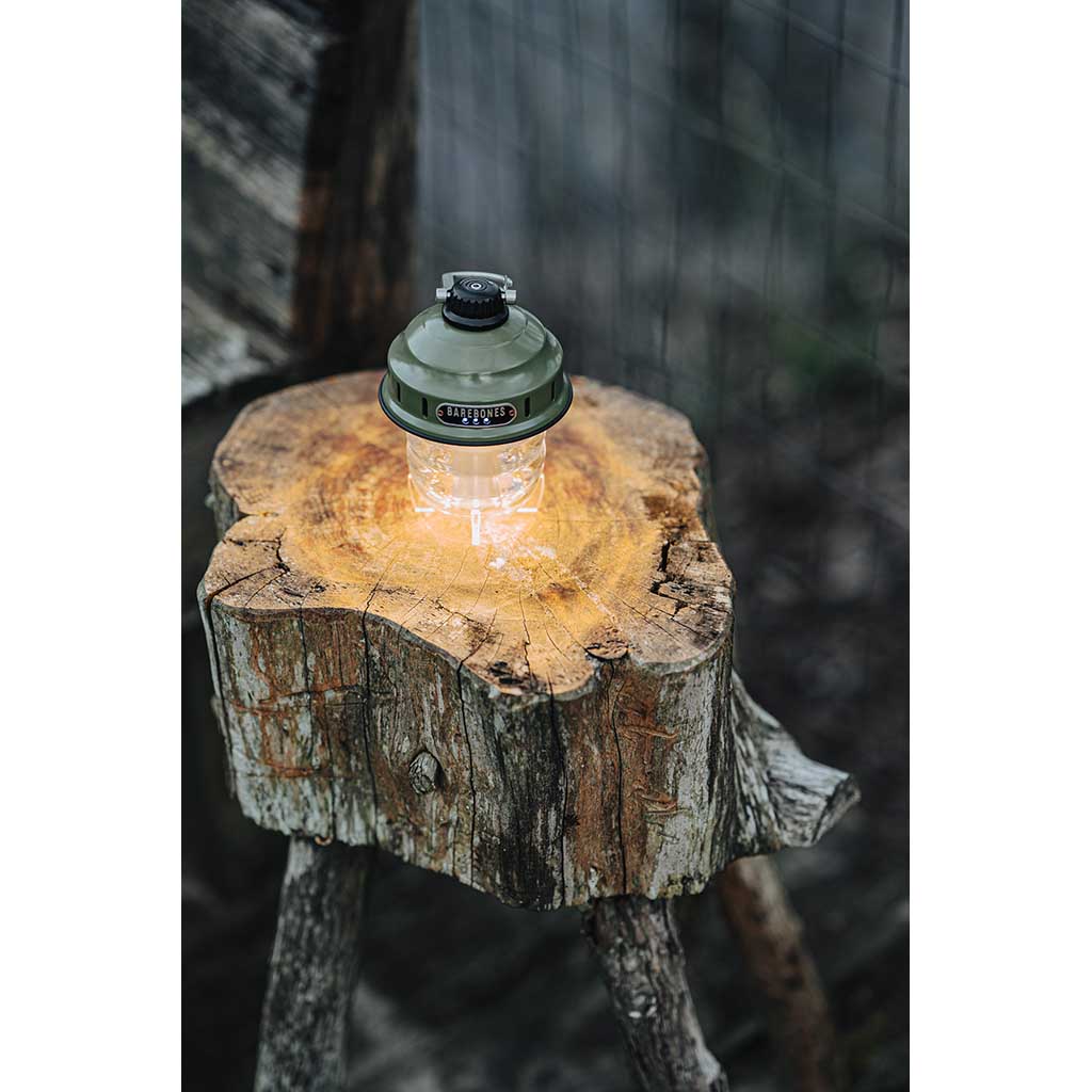 Beacon Hanging Light Barebones Living LIV-233 Lanterns One Size / Olive Drab