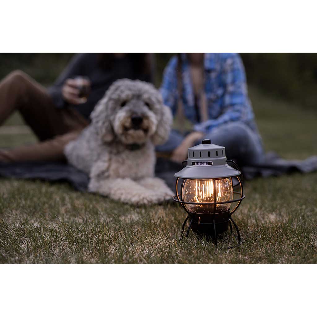 Railroad Lantern Barebones Living LIV-282 Lanterns One Size / Slate Grey
