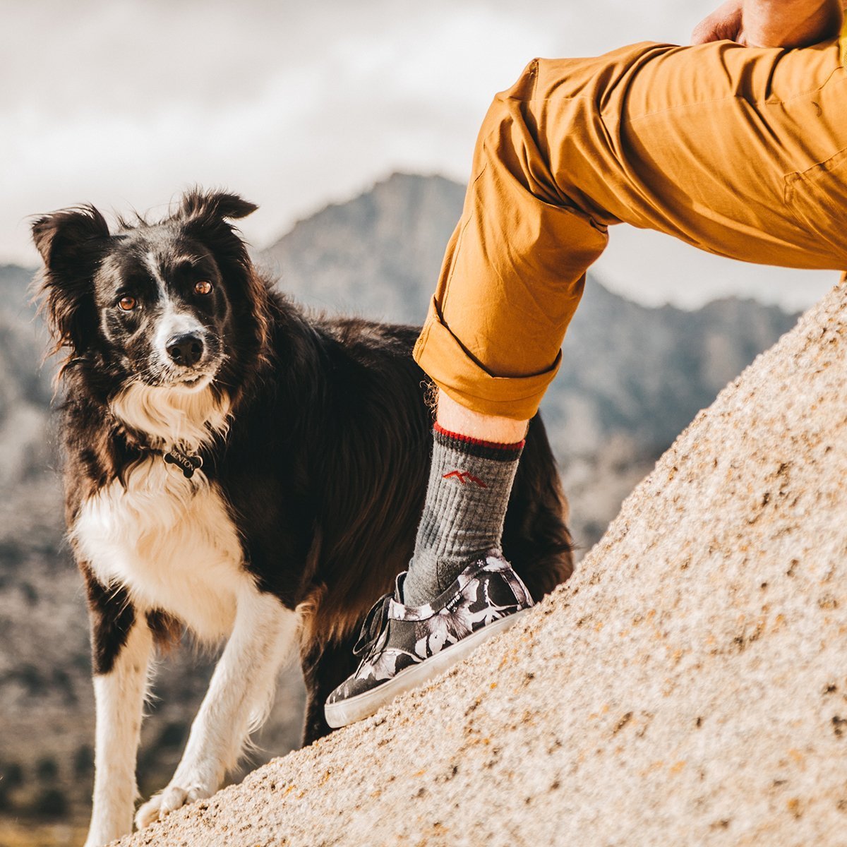 Hiker Boot Midweight | Cushion | Men's Darn Tough Socks