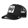 Black Sheep Trucker Hat Goorin Bros. 101-0380-BLK Caps & Hats One Size / Black