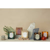 Vista Candle | Leather & Smoke Paddywax PWVS1004 Candles 5.75 oz / Cream